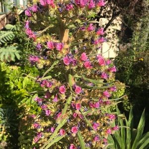 Meet your Posher, Valerie